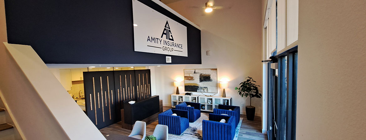 About Amity Insurance Group LLC 2