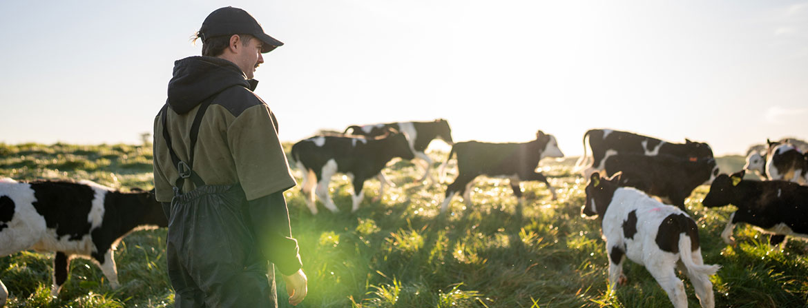Texas Featured Homepage Banner